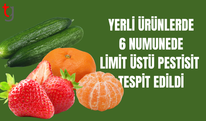 Haftalık gıda denetim sonuçları açıklandı