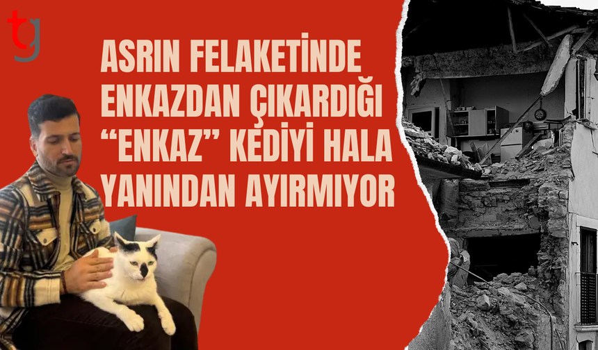 'Enkaz' kediyi hala yanından ayırmıyor