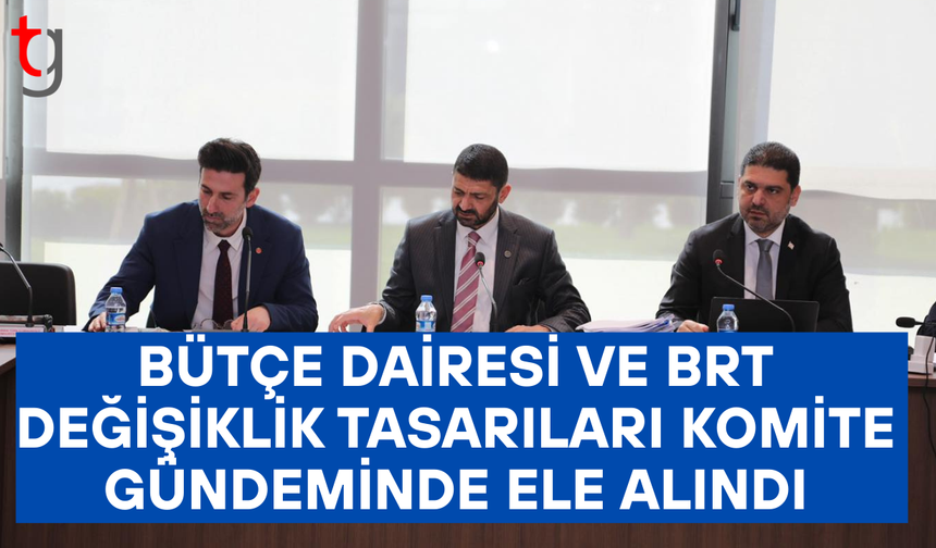 Komitede iki yasa tasarısına devam kararı