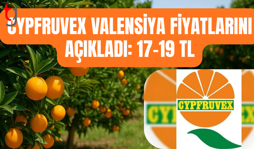 Narenciye sezonunda fiyat aralığı netleşti