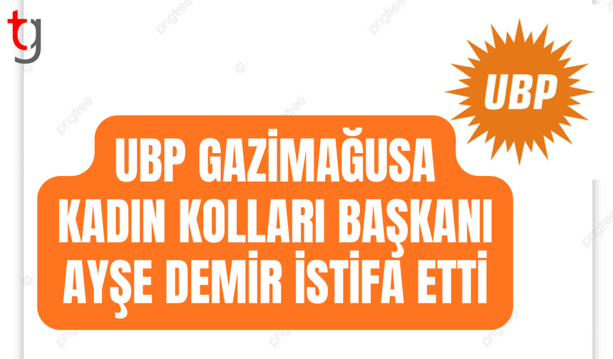 Ayşe Demir: Partimin zarar görmemesi için görevi bırakıyorum