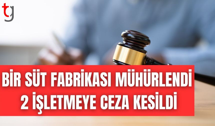 Değirmenlik-Akıncılar’da 76 iş yeri denetlendi: Bir süt fabrikası mühürlendi, 2 işletmeye ceza kesildi