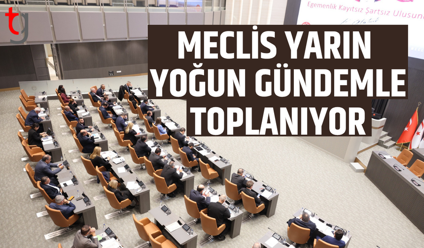 Mecliste kritik gündem: Yoğun yasa trafiği başlıyor