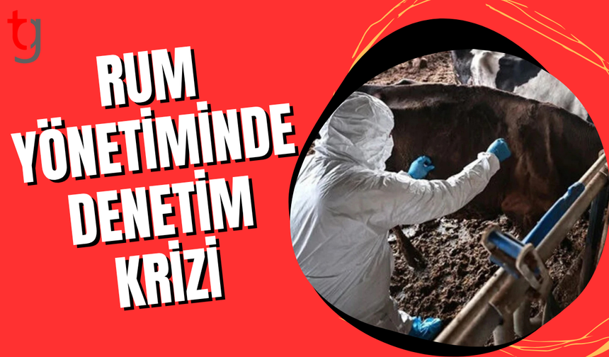 Hellim denetimleri ertelendi, şap tartışması büyüdü