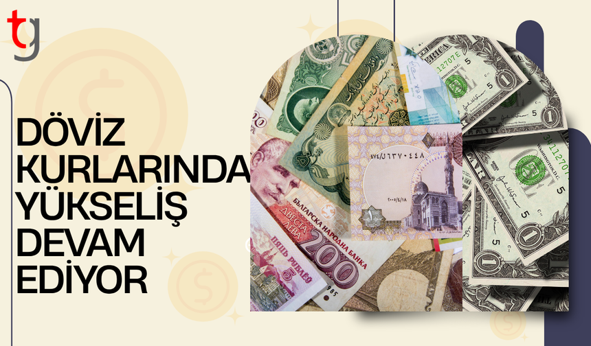 Döviz piyasasında fiyatlar yükseliş eğiliminde