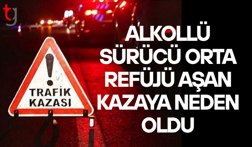 Alkollü sürücü kazaya neden oldu