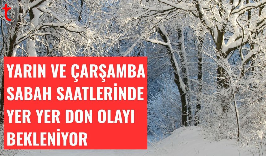 Yarın ve Çarşamba sabah saatlerinde yer yer don olayı bekleniyor
