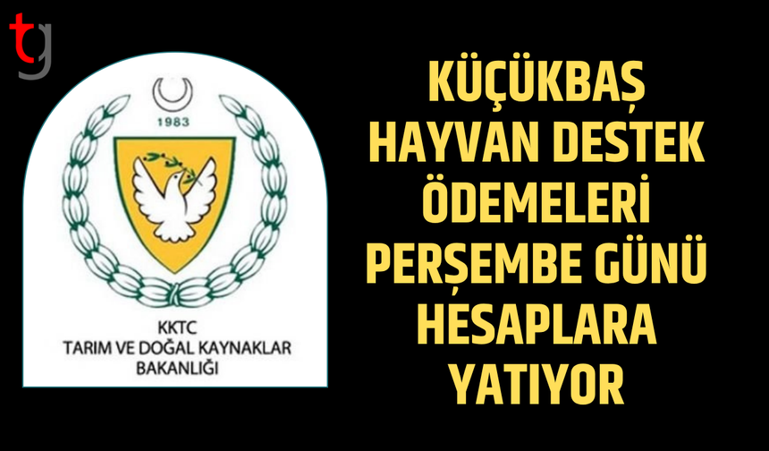 Küçükbaş hayvan destek ödemeleri perşembe günü hesaplarda olacak