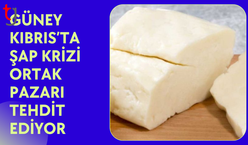 Güney Kıbrıs’ta şap alarmı: Hellim ihracatı riskte