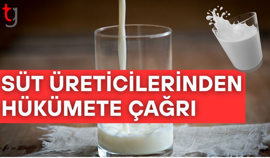 Süt üreticilerinden hükümete çağrı: İthalata geçici önlem alınmalı