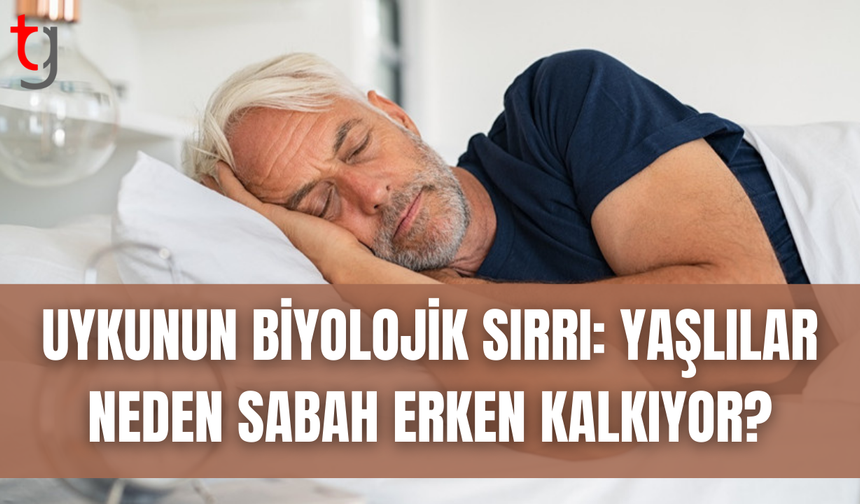 Yaş ilerledikçe neden daha erken uyanıyoruz?