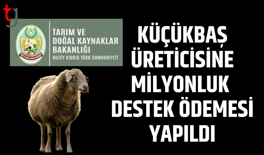 Küçükbaş üreticisine destek ödemesi hesaplara yatırıldı