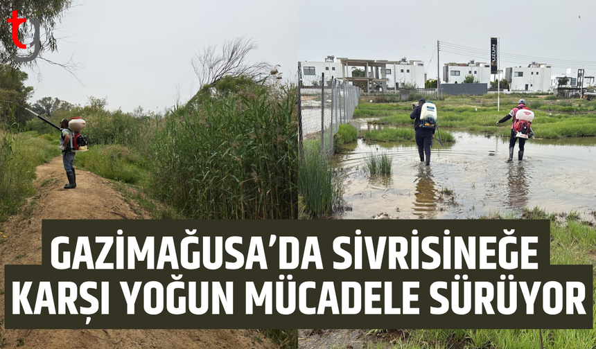 Gazimağusa’da sivrisinekle mücadele sürüyor