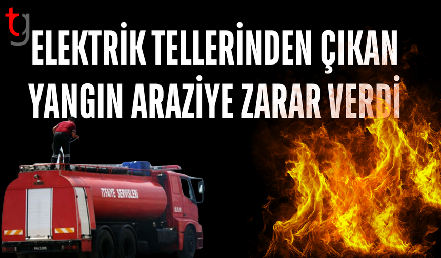 Akdoğan’da çıkan yangın arazide zarara yol açtı