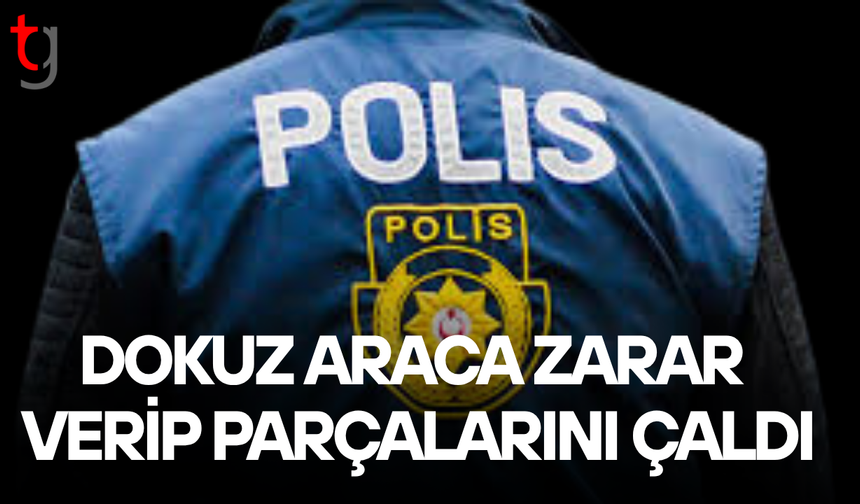 Park halindeki araçlara zarar verip parça çaldı