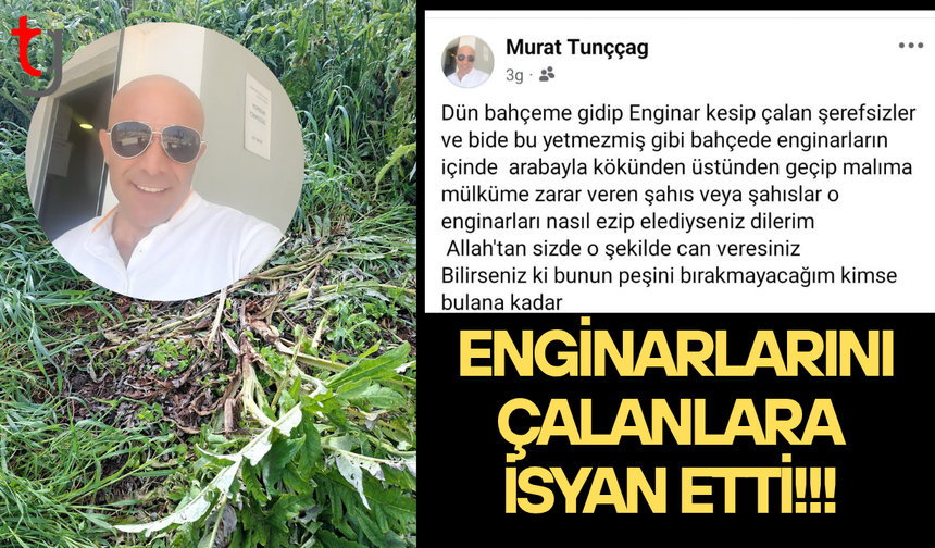Enginar bahçesine giren hırsızlar üreticiyi mağdur etti