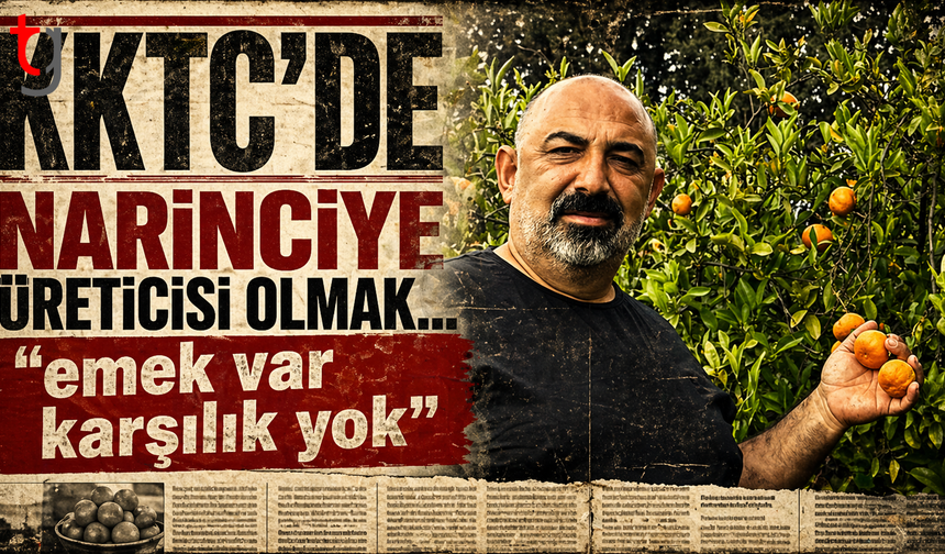 Narinciye de Emek Var karşılık Yok !
