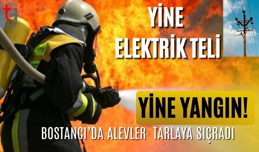 Yine Elektrik Teli, Yine Yangın! Bostancı’da Alevler Arpa Tarlasına Sıçradı