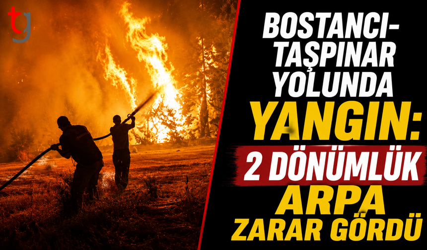 Bostancı-Taşpınar Yolunda Yangın: 2 Dönümlük Arpa Zarar Gördü