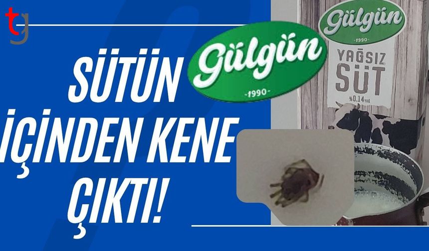 SÜTÜN İÇİNDEN KENE ÇIKTI!