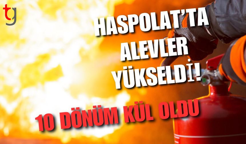 Haspolat’ta alevler yükseldi! 10 dönüm kül oldu