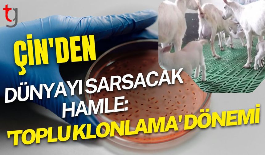 Çin'den Dünyayı Sarsacak Hamle: 'Toplu Klonlama' Dönemi