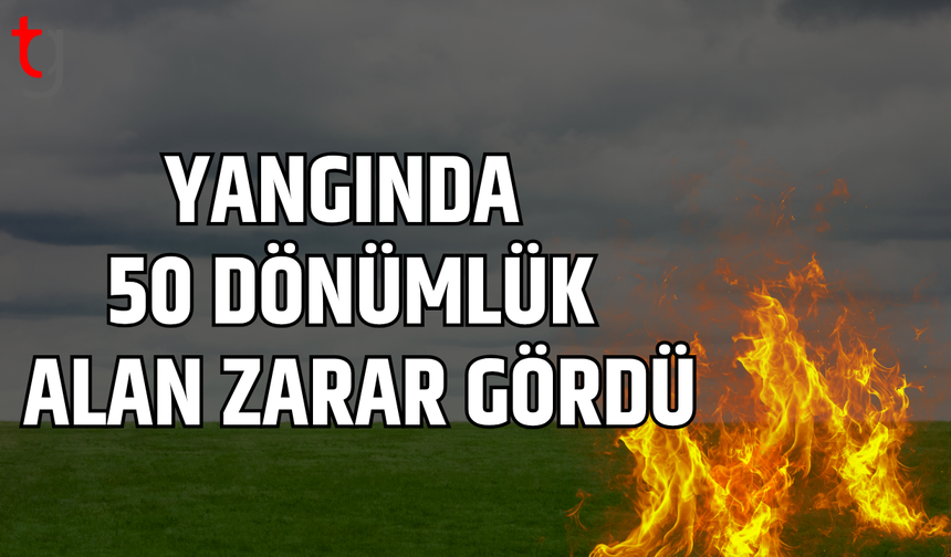 Paşaköy’de çöplük alanda yangın