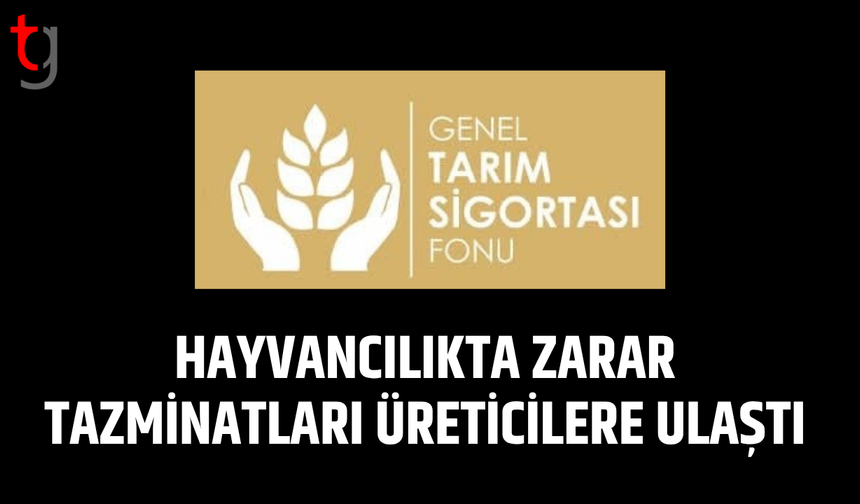 Düşük ve brucella tazminatları ödendi