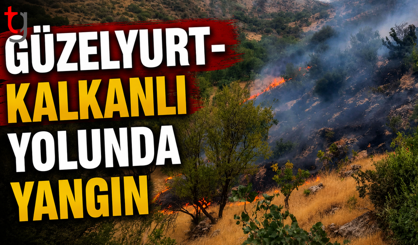 Güzelyurt-Kalkanlı Yolunda Yangın: 40 Dönümlük Alan Zarar Gördü