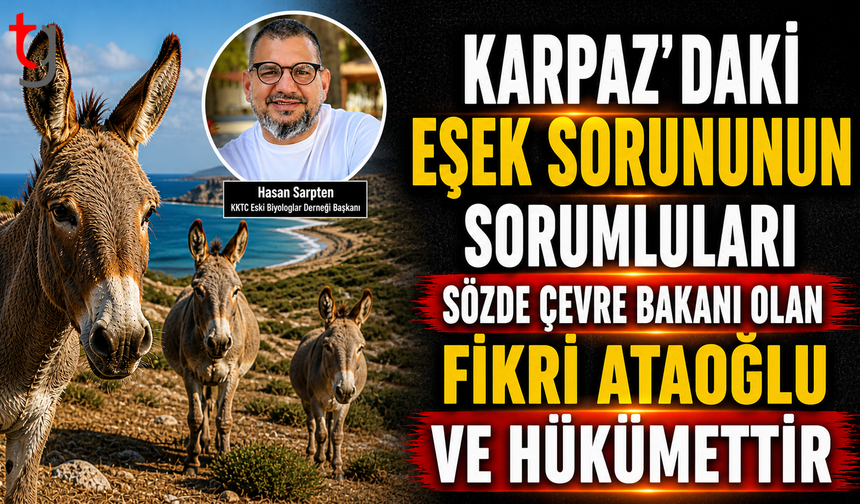 Eşek sorununu çözmek istemeyen hükümettir