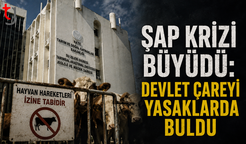 Şap Krizi Büyüdü: Devlet Çareyi Yasaklarda Buldu