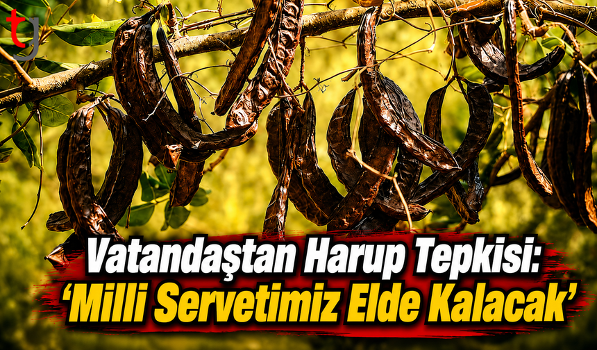 Vatandaştan Harup Tepkisi: “Milli Servetimiz Elde Kalacak”