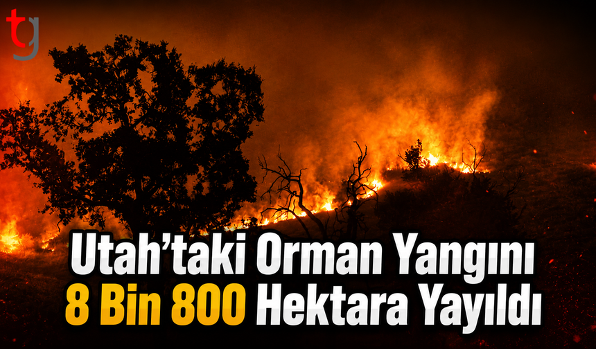 Utah’taki Orman Yangını 8 Bin 800 Hektara Yayıldı: Kent Tahliye Ediliyor