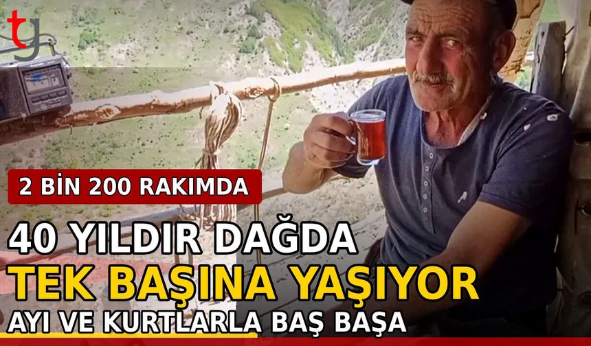 40 Yıldır Dağda Tek Başına Yaşıyor: 2 Bin 200 Rakımda Ayı ve Kurtlarla Baş Başa