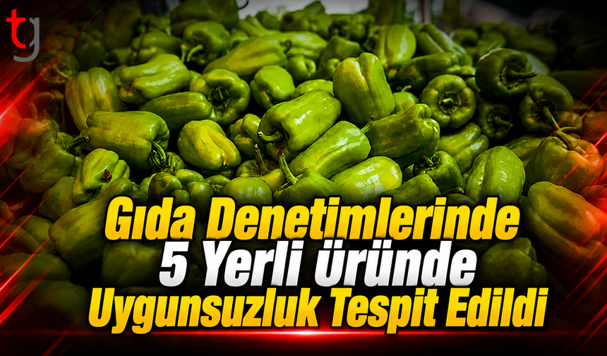 Gıda Denetimlerinde 5 Yerli Üründe Uygunsuzluk Tespit Edildi