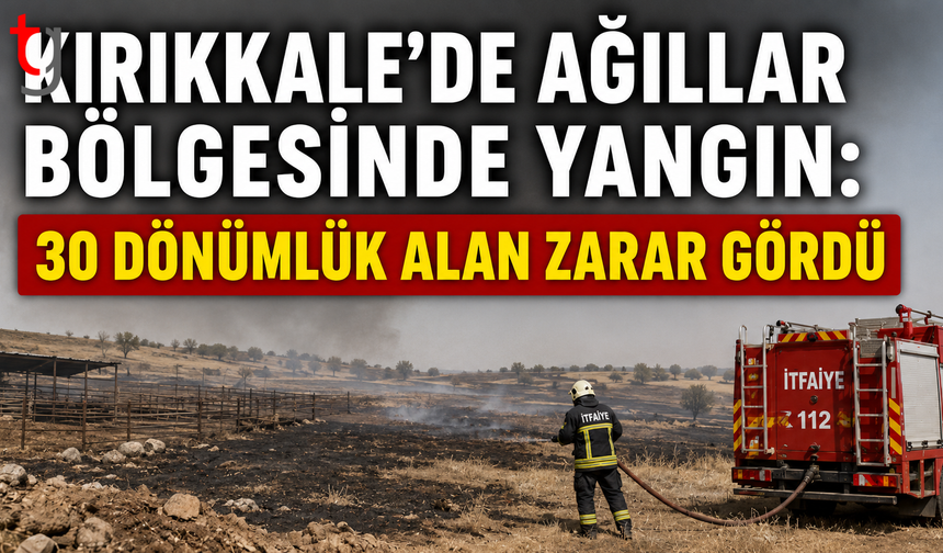 Kırıkkale’de Ağıllar Bölgesinde Yangın: 30 Dönümlük Alan Zarar Gördü