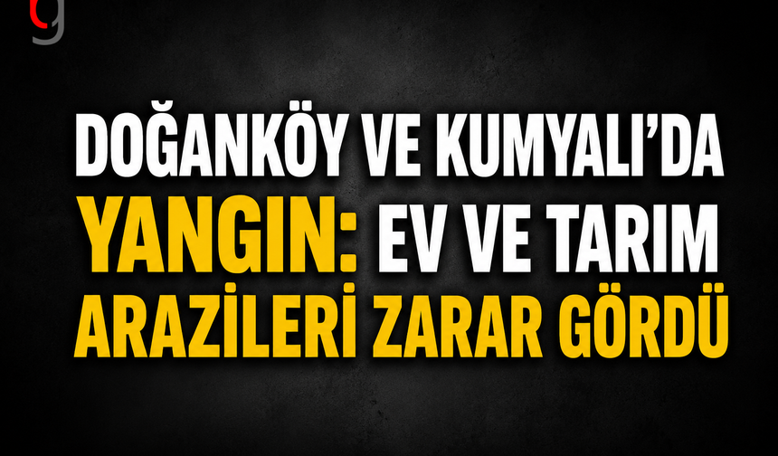 Doğanköy ve Kumyalı’da Yangın: Ev ve Tarım Arazileri Zarar Gördü