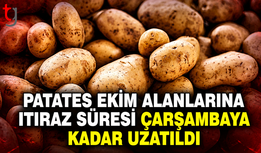 Patates Ekim Alanlarına İtiraz Süresi Çarşambaya Kadar Uzatıldı