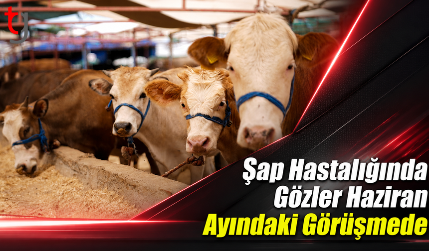 Şap Hastalığında Gözler Haziran Ayındaki Görüşmede