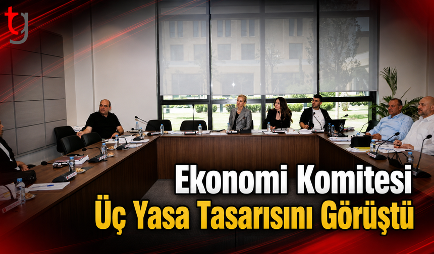 Ekonomi Komitesi Üç Yasa Tasarısını Görüştü