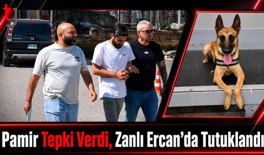 Narkotik Köpeği Pamir Tepki Verdi, Zanlı Ercan’da Tutuklandı