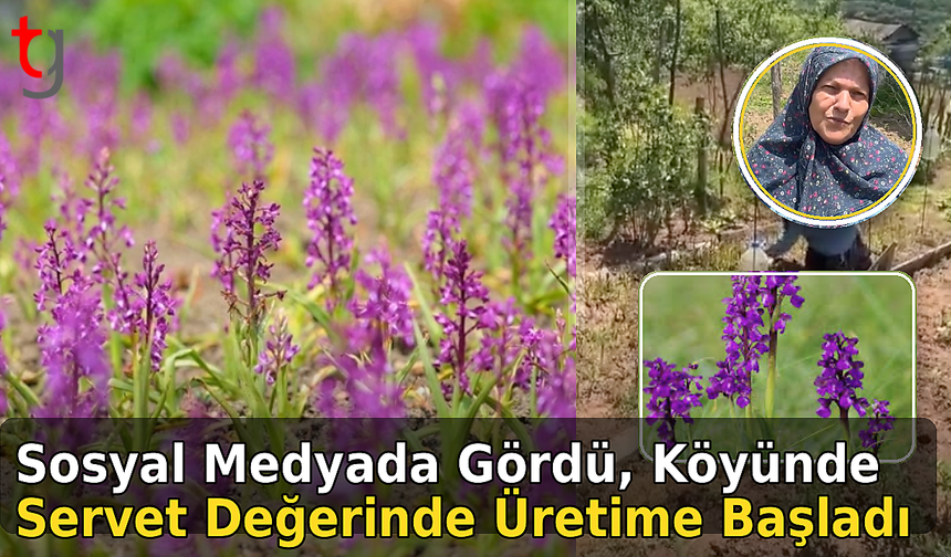 Sosyal Medyada Gördü, Köyünde Servet Değerinde Üretime Başladı