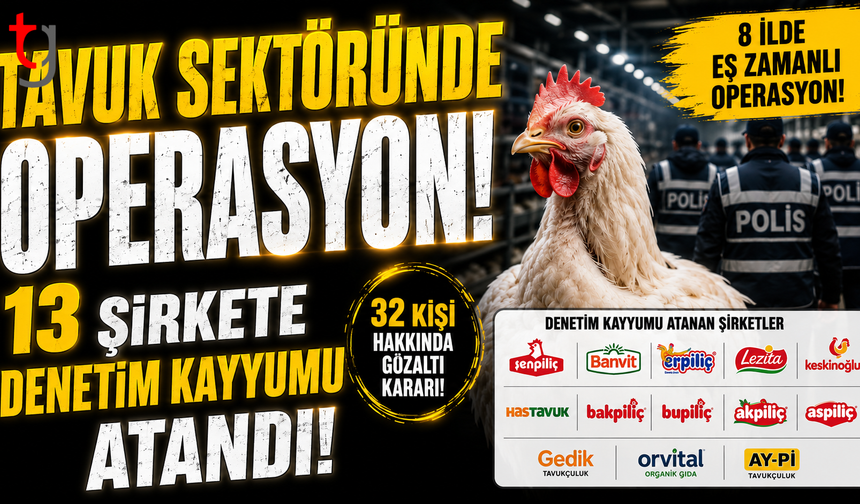 Tavuk Sektöründe Operasyon: 13 Şirkete Denetim Kayyumu Atandı