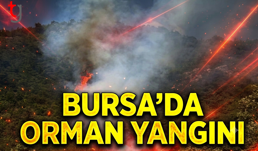 Bursa'da Orman Yangını