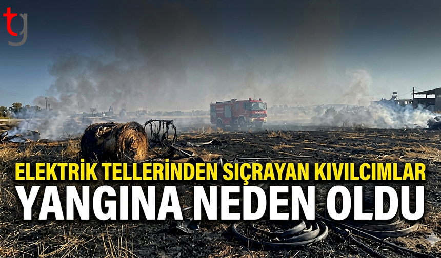 Elektrik Tellerinden Sıçrayan Kıvılcımlar Yangına Neden Oldu