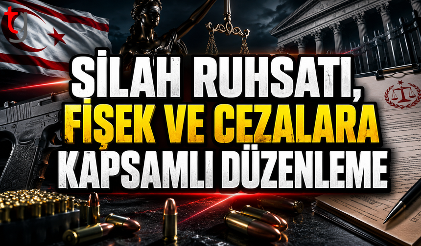 Ruhsat, Fişek ve Cezalara Kapsamlı Düzenleme