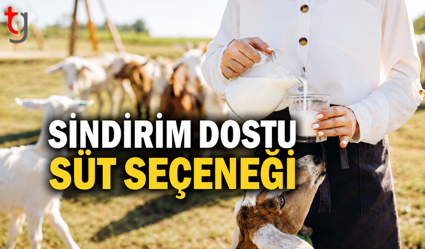 Sindirim Dostu Süt Seçeneği