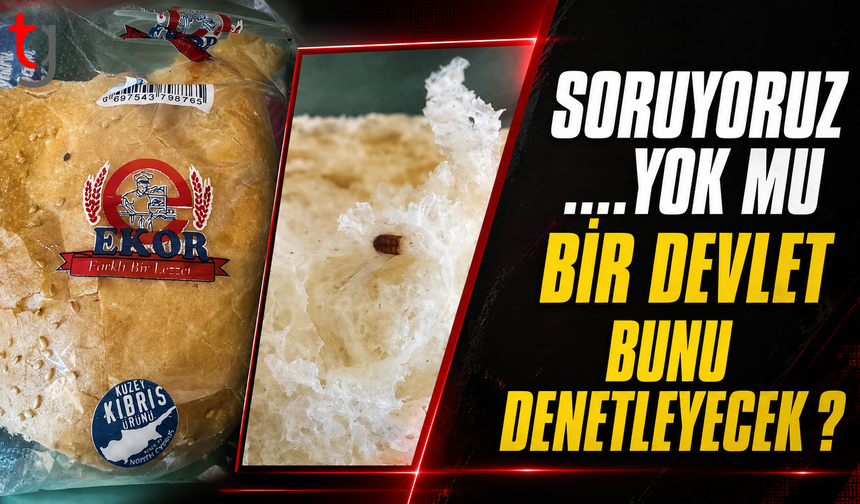 Yok Mu Bunu Denetleyecek Bir Devlet? Ekmekte Böcek İddiası Tepki Yarattı
