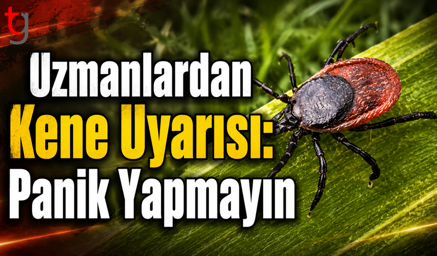 Uzmanlardan Kene Uyarısı: Panik Yapmayın