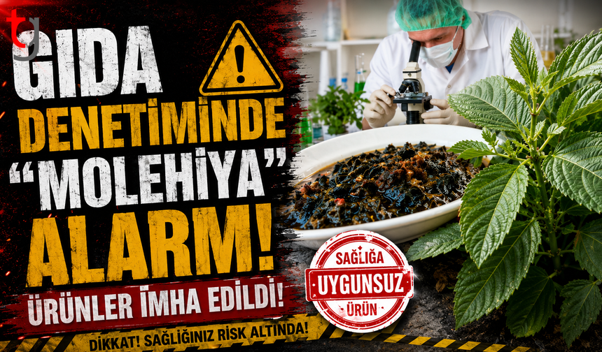 Gıda Denetiminde "Molehiya" Alarmı: Ürünler İmha Edildi!